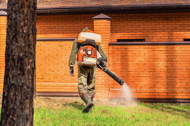 Trusted Mosquito Control service in Woodlyn, PA - Nex Pest Control